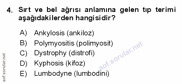Soru 4