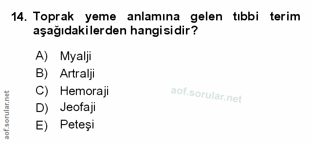 Soru 14