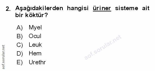 Soru 2