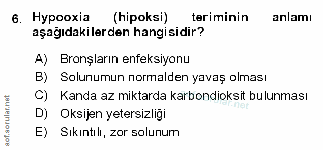 Soru 6