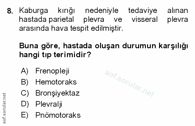 Soru 8
