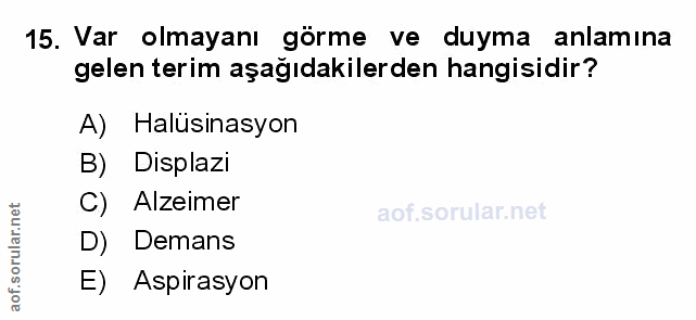 Soru 15