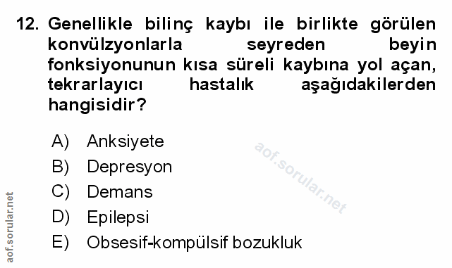Soru 12