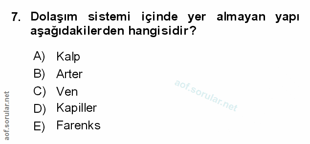 Soru 7