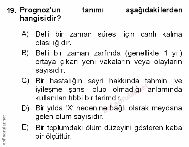 Soru 19