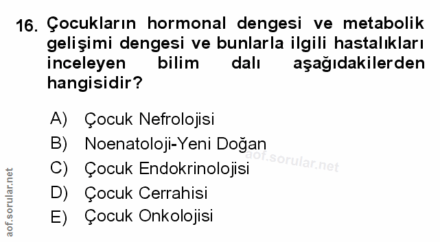 Soru 16