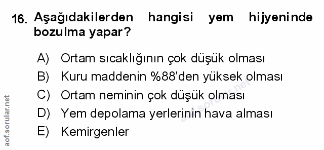 Soru 16