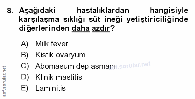 Soru 8
