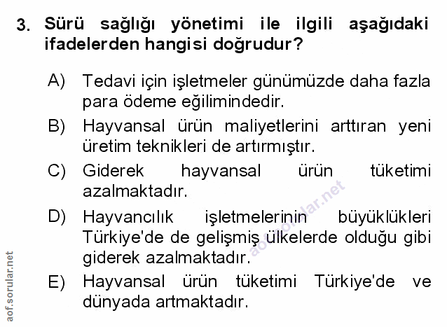 Soru 3