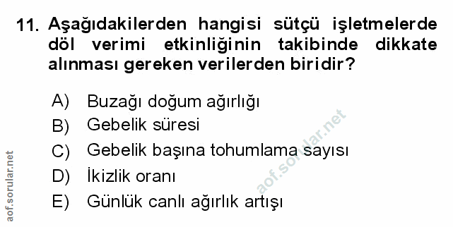 Soru 11