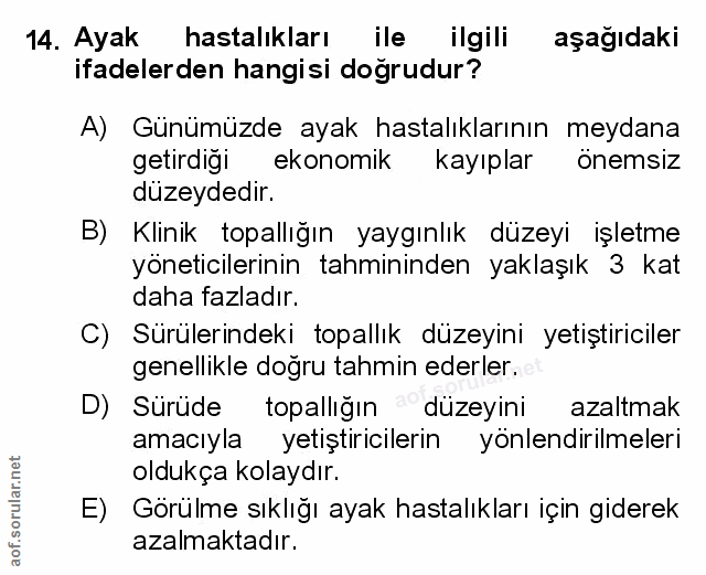 Soru 14