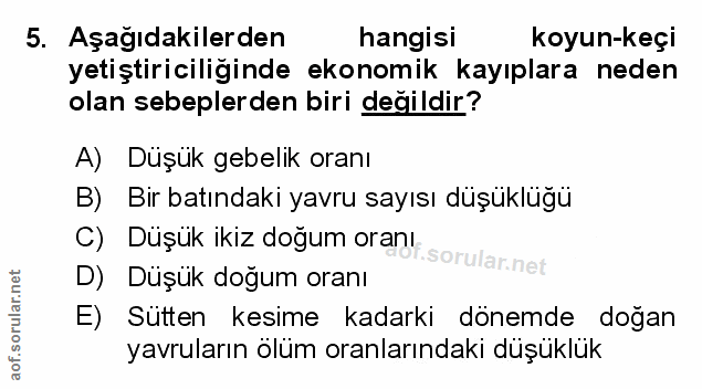 Soru 5