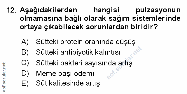 Soru 12