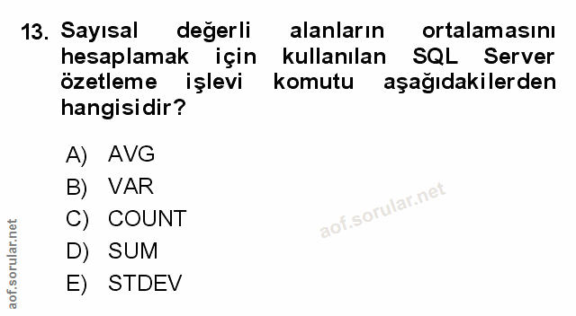 Soru 13