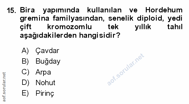 Soru 15