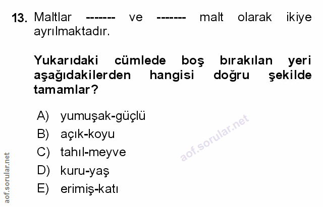 Soru 13