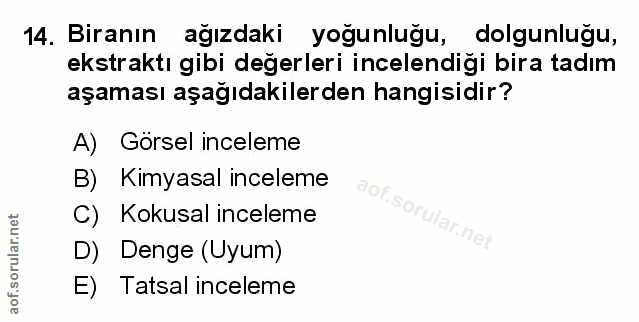 Soru 14