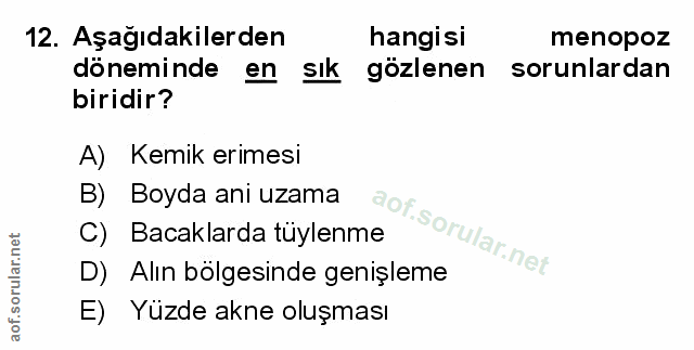 Soru 12