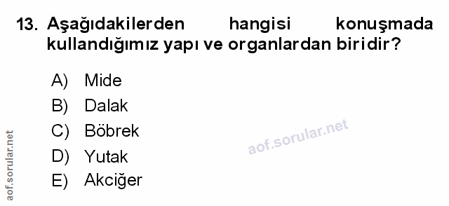 Soru 13