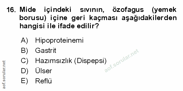 Soru 16