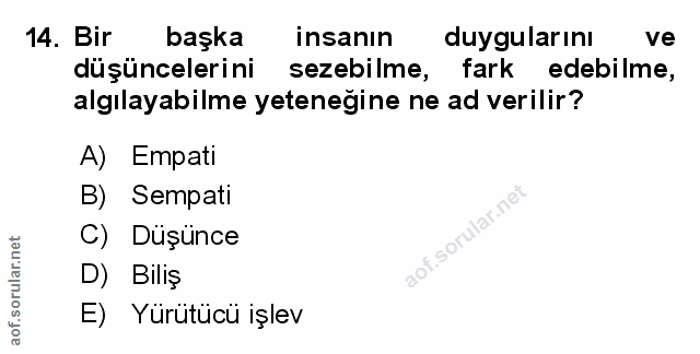 Soru 14