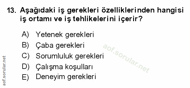 Soru 13