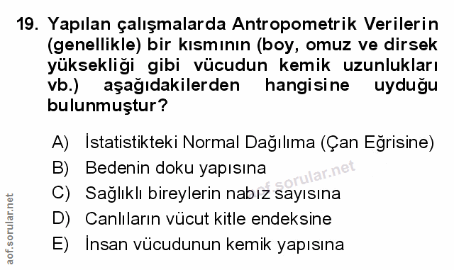 Soru 19