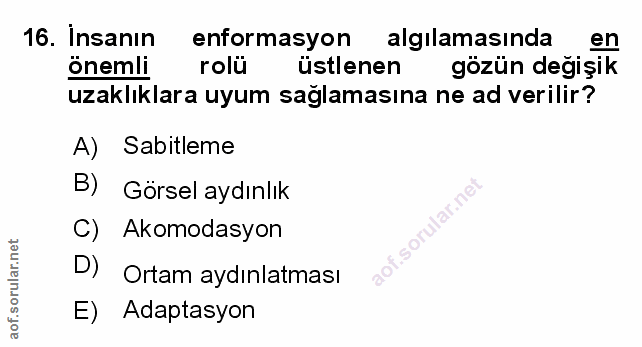 Soru 16