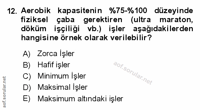 Soru 12
