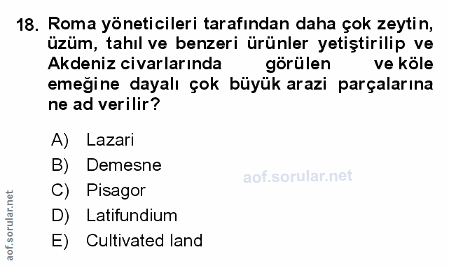 Soru 18