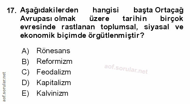 Soru 17