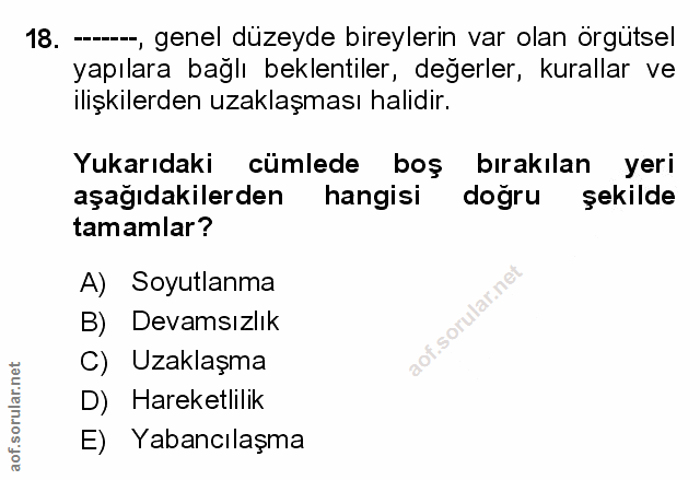 Soru 18