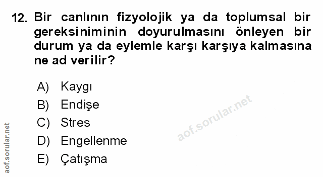 Soru 12