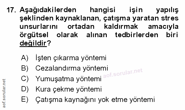 Soru 17