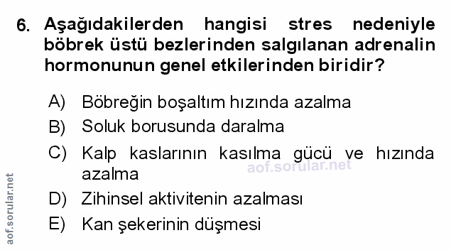 Soru 6