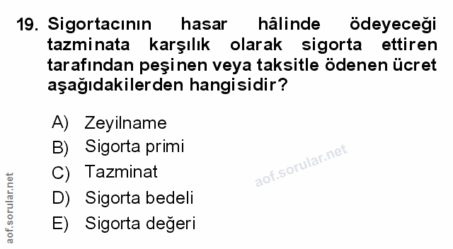 Soru 19