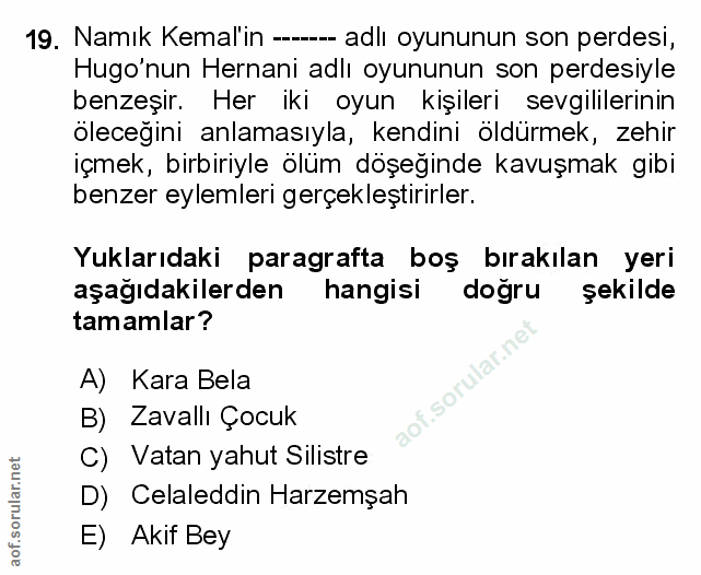 Soru 19