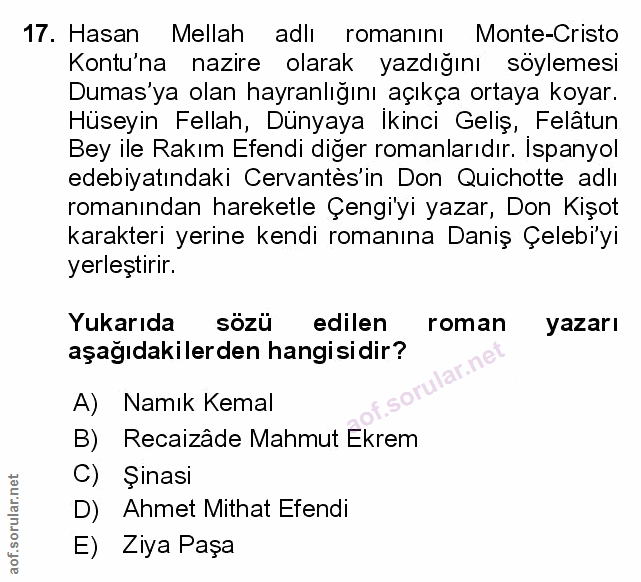 Soru 17