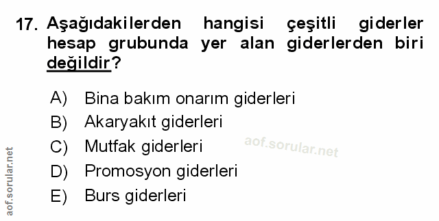 Soru 17
