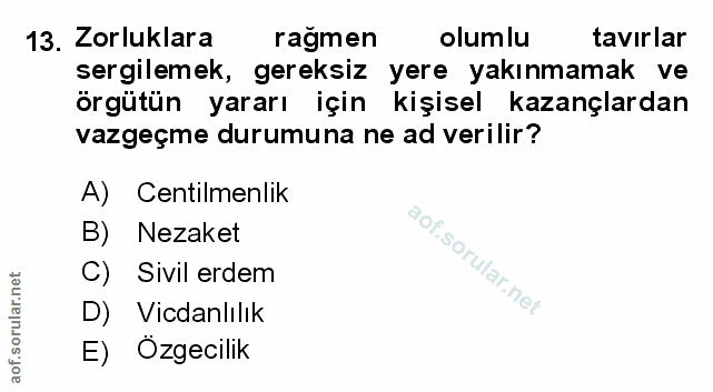 Soru 13
