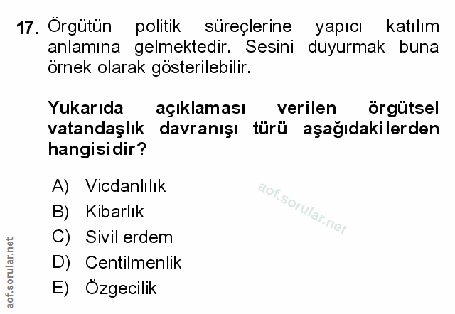 Soru 17
