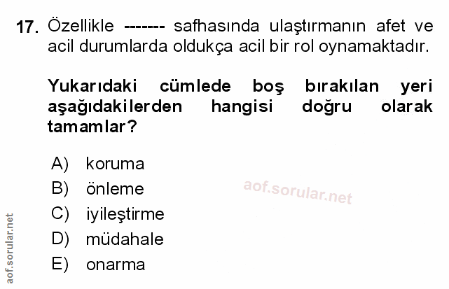 Soru 17