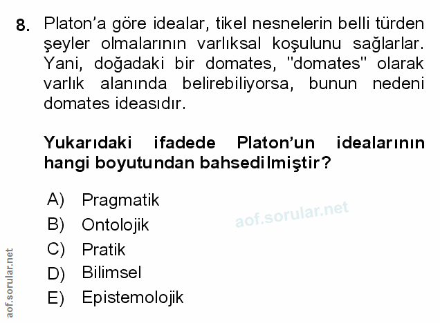 Soru 8
