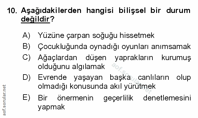 Soru 10