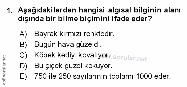 Soru 1