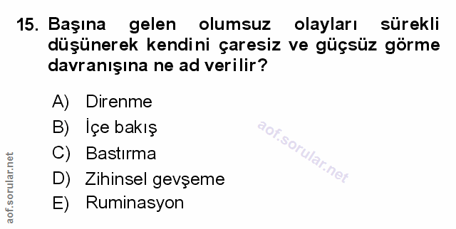 Soru 15