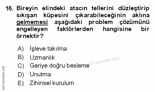 Soru 16