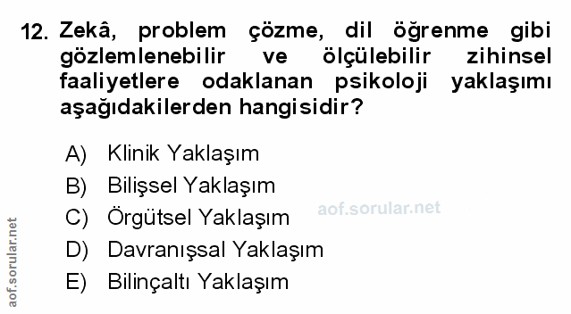 Soru 12