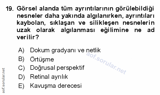 Soru 19