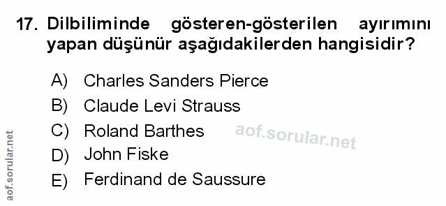 Soru 17